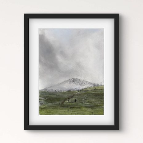 Fog in the Mountains